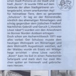 altstadtfuhrer-der-lowe-von-bonn Leseprobe Der Löwe von Bonn