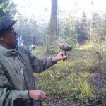 meister-und-pilz Meister und Pilz