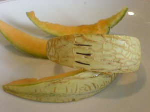 dsc04967 Was von drei Melonen übrig blieb