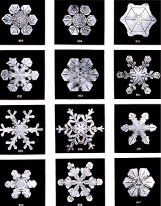 469px-snowflakeswilsonbentley snow crystals, Wilson Alwyn Bentley (Fotographien, 1902)
