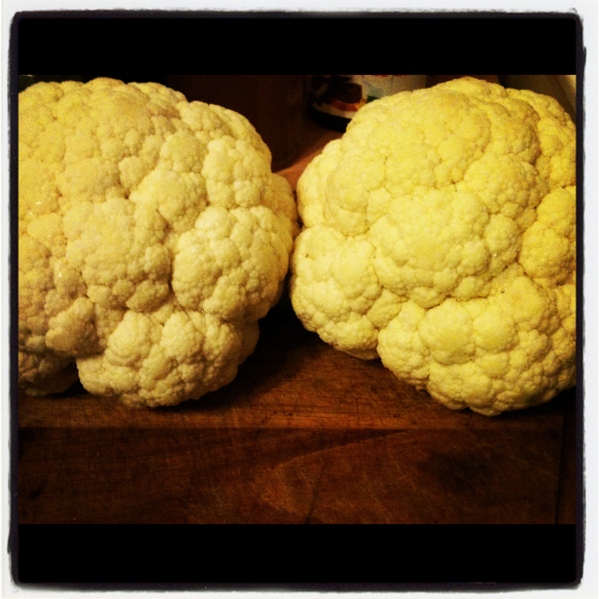 blumenkohl